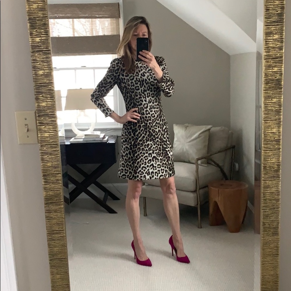 Rag & bone snow leopard silk dress